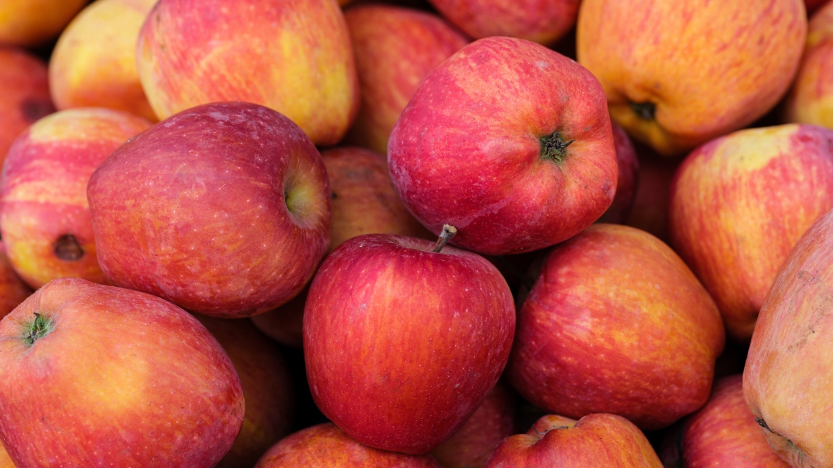 Respuestas metabólicas en manzana frente a hongos poscosecha con identificación de biomarcadores.jpg